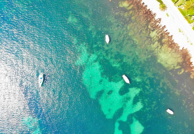 Finca in Campos - 405 Finca Sa Vinya VT 1711 by Mallorca Charme Finca in Campos - 405 Finca Sa Vinya VT 1711 by Mallorca Charme