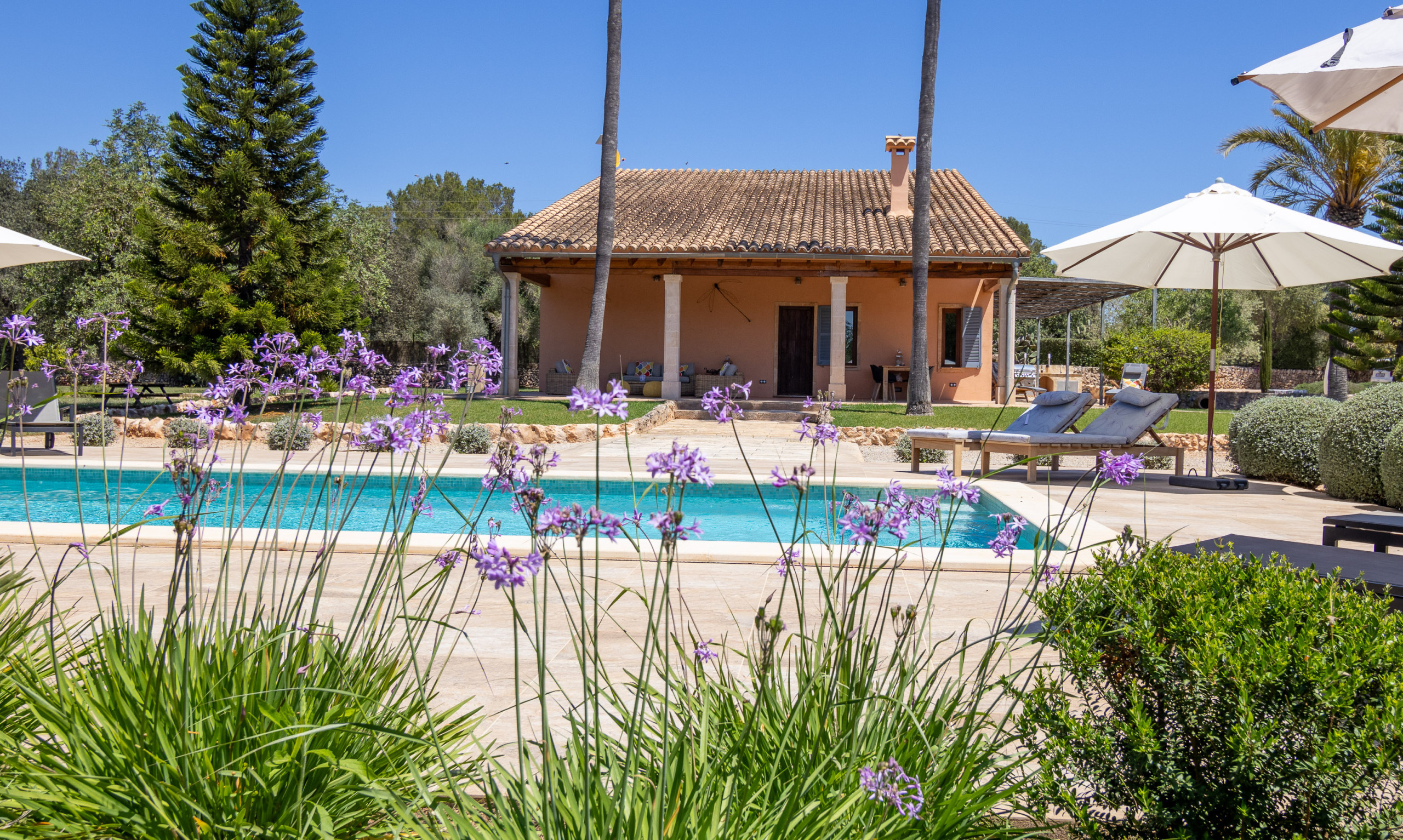 Villa in Muro - 019 Villa Nuria ET/2369 by Mallorca Charme