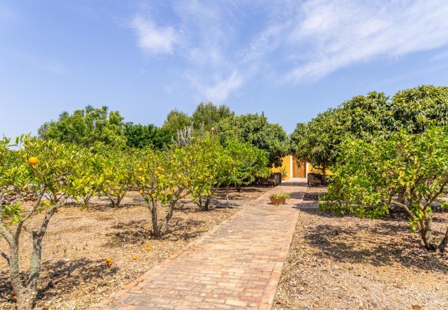 Finca in Manacor - Ses Cases Son Blat, Finca 5StarsHome Mallorca Finca in Manacor - Ses Cases Son Blat, Finca 5StarsHome Mallorca