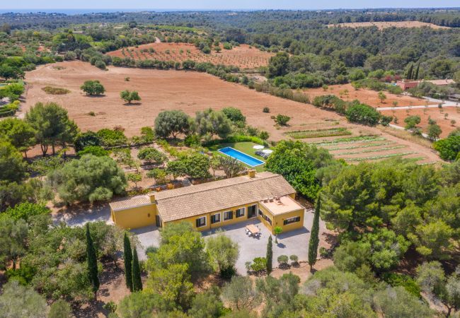 Finca in Manacor - Ses Cases Son Blat, Finca 5StarsHome Mallorca Finca in Manacor - Ses Cases Son Blat, Finca 5StarsHome Mallorca