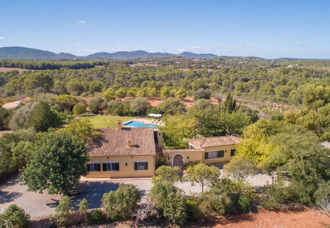 Finca in Manacor - Sestador Blat, Finca 5StarsHome Mallorca Finca in Manacor - Sestador Blat, Finca 5StarsHome Mallorca