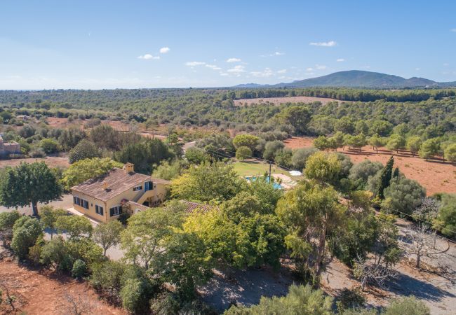 Finca in Manacor - Sestador Blat, Finca 5StarsHome Mallorca Finca in Manacor - Sestador Blat, Finca 5StarsHome Mallorca