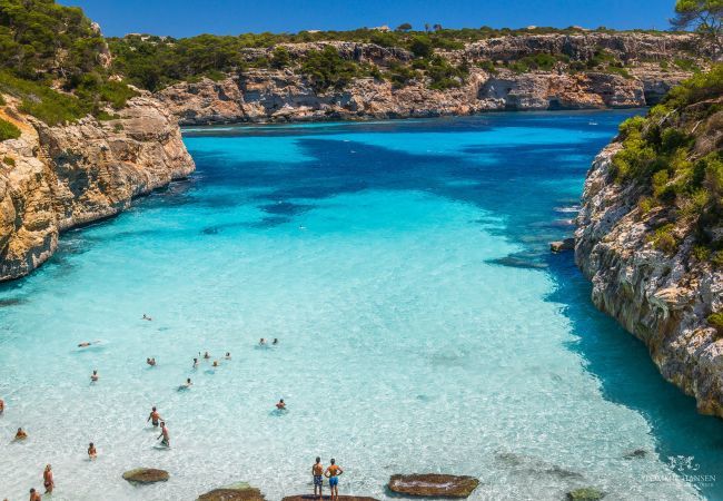 Finca in Manacor - Sestador Blat, Finca 5StarsHome Mallorca Finca in Manacor - Sestador Blat, Finca 5StarsHome Mallorca