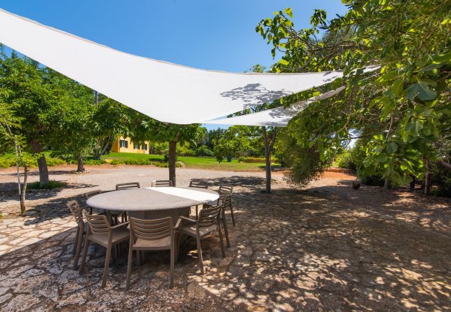 Finca in Manacor - Sestador Blat, Finca 5StarsHome Mallorca Finca in Manacor - Sestador Blat, Finca 5StarsHome Mallorca