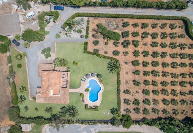 Villa in Felanitx - S'hort d'Or, Finca 5StarsHome Mallorca Villa in Felanitx - S'hort d'Or, Finca 5StarsHome Mallorca