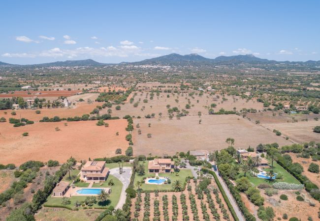 Villa in Felanitx - S'hort d'Or, Finca 5StarsHome Mallorca Villa in Felanitx - S'hort d'Or, Finca 5StarsHome Mallorca