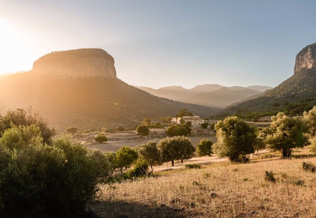 Villa in Alaro - Alaro 117 Luxury. 10 a 20 pax, Villa-Lujo 5StarsHo Villa in Alaro - Alaro 117 Luxury. 10 a 20 pax, Villa-Lujo 5StarsHo