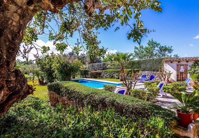 Villa in Pollensa / Pollença - Torella, Villa 5StarsHome Mallorca Villa in Pollensa / Pollença - Torella, Villa 5StarsHome Mallorca