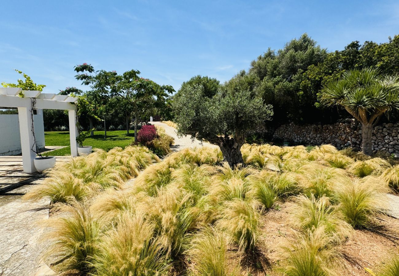 Ferienhaus in San Luis - Casa SABARRACA