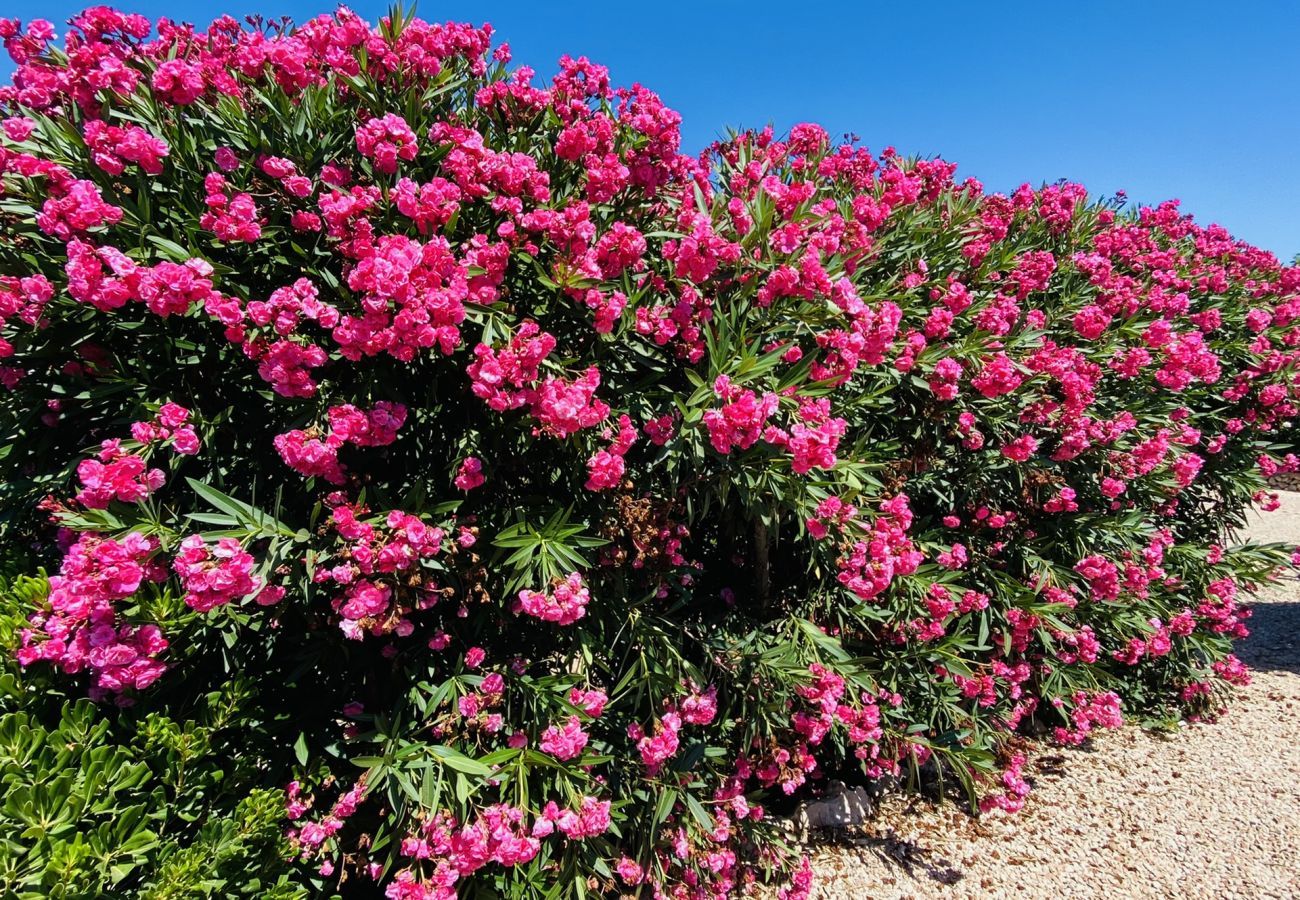 Villa in Binibeca - Villa CRISTINA