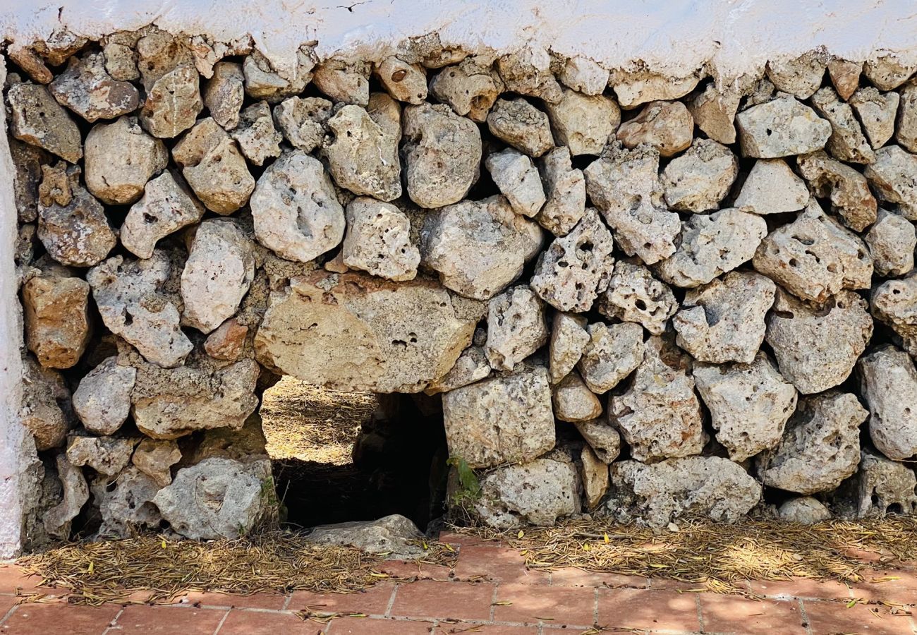 Finca in Alaior - Finca TONI