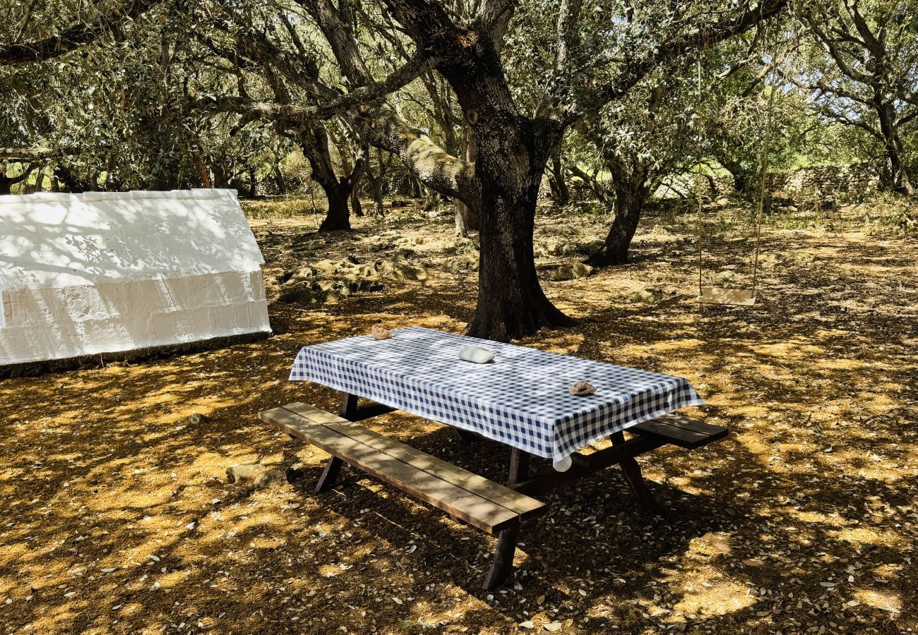 Finca in Alaior - Finca TONI