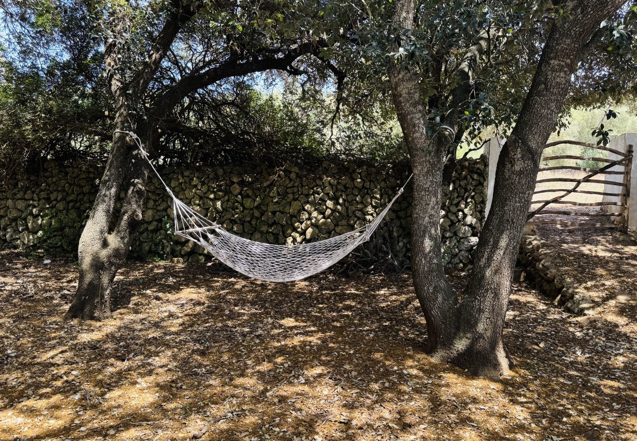 Finca in Alaior - Finca TONI