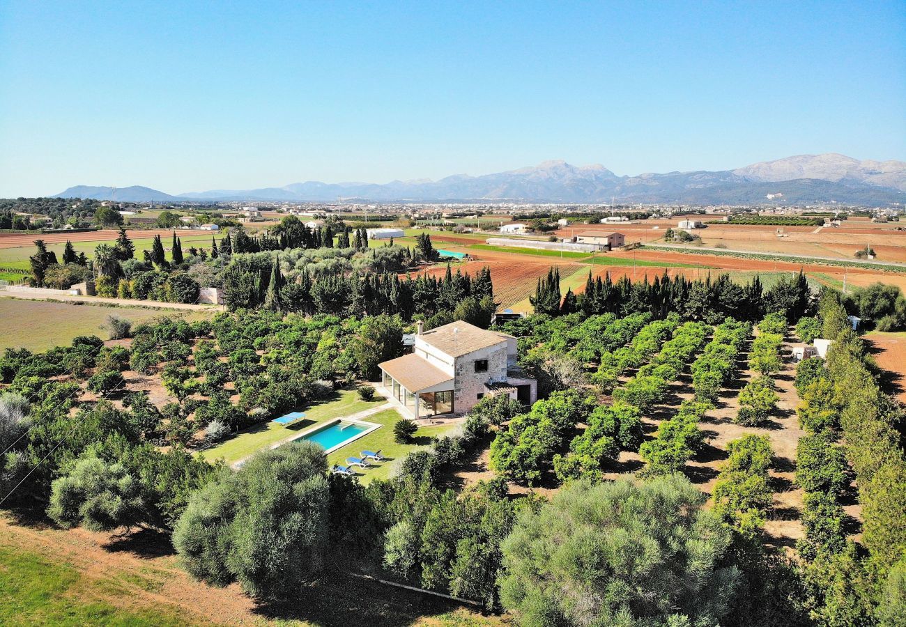 Finca in Muro - 108 Finca Son Morey Tarongers ETV/14340 by Mallorc
