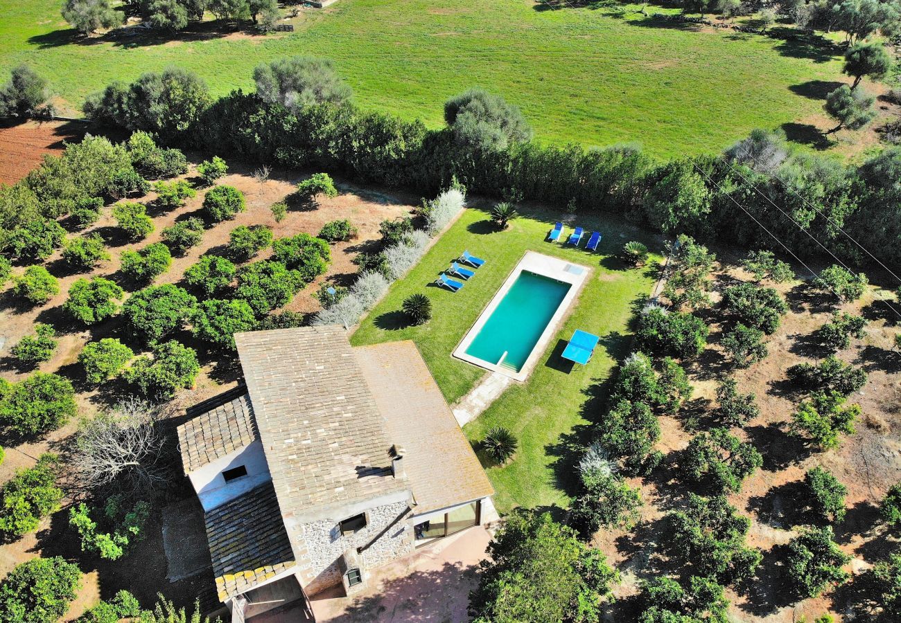 Finca in Muro - 108 Finca Son Morey Tarongers ETV/14340 by Mallorc