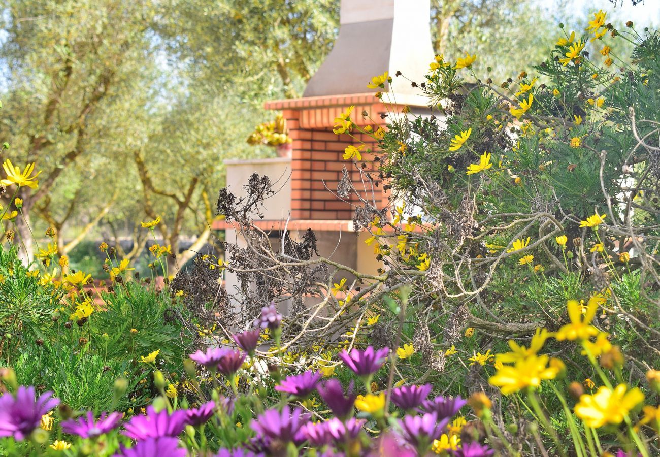 Finca in Ariany - 253 Finca Calderitx ETV/3113 by Mallorca Charme