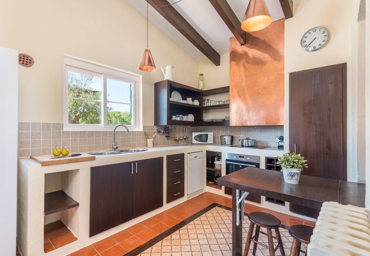 Ferienhaus in San Luis - Casa BINIALI