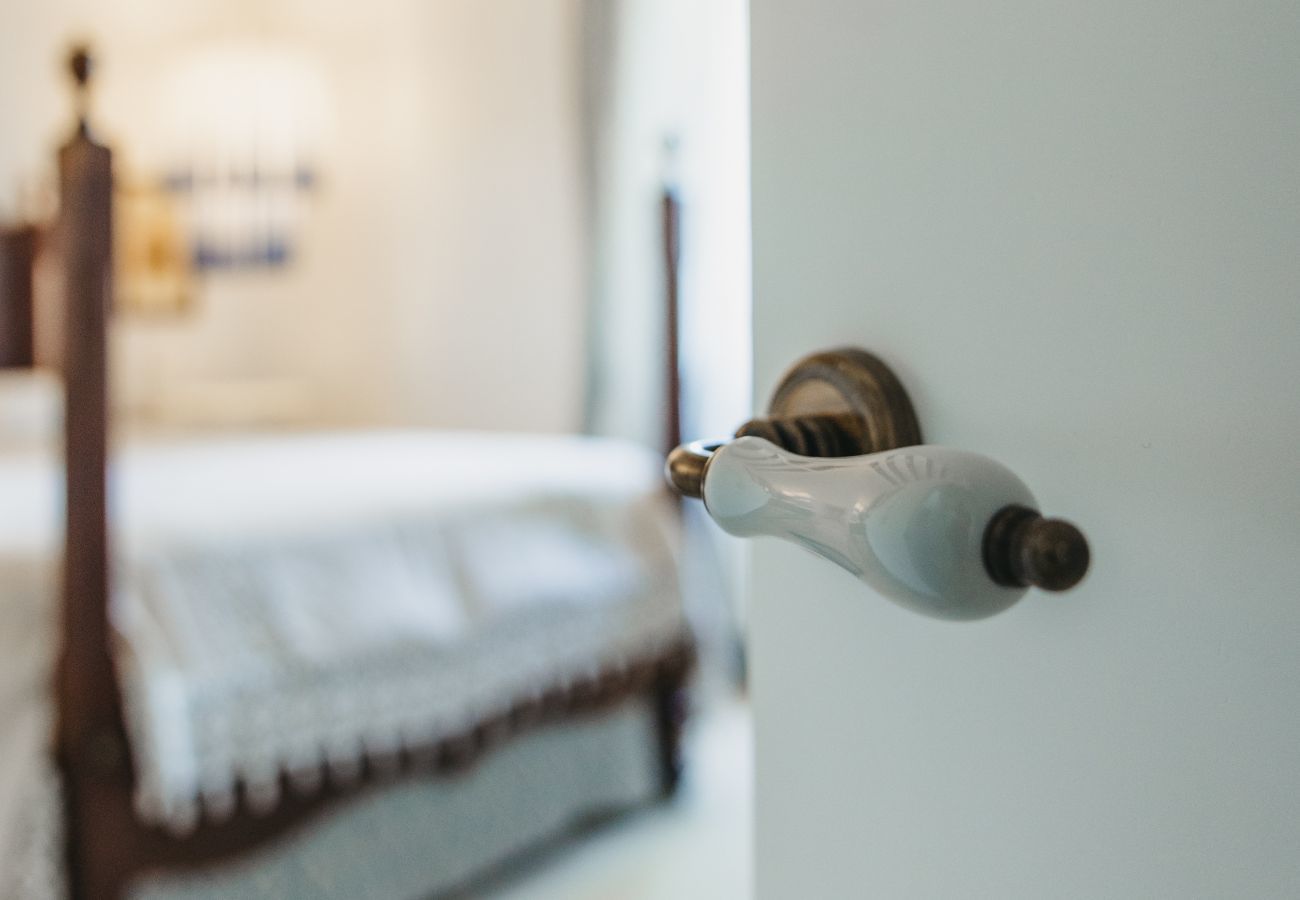 Finca in Ferreries - Finca MASSO