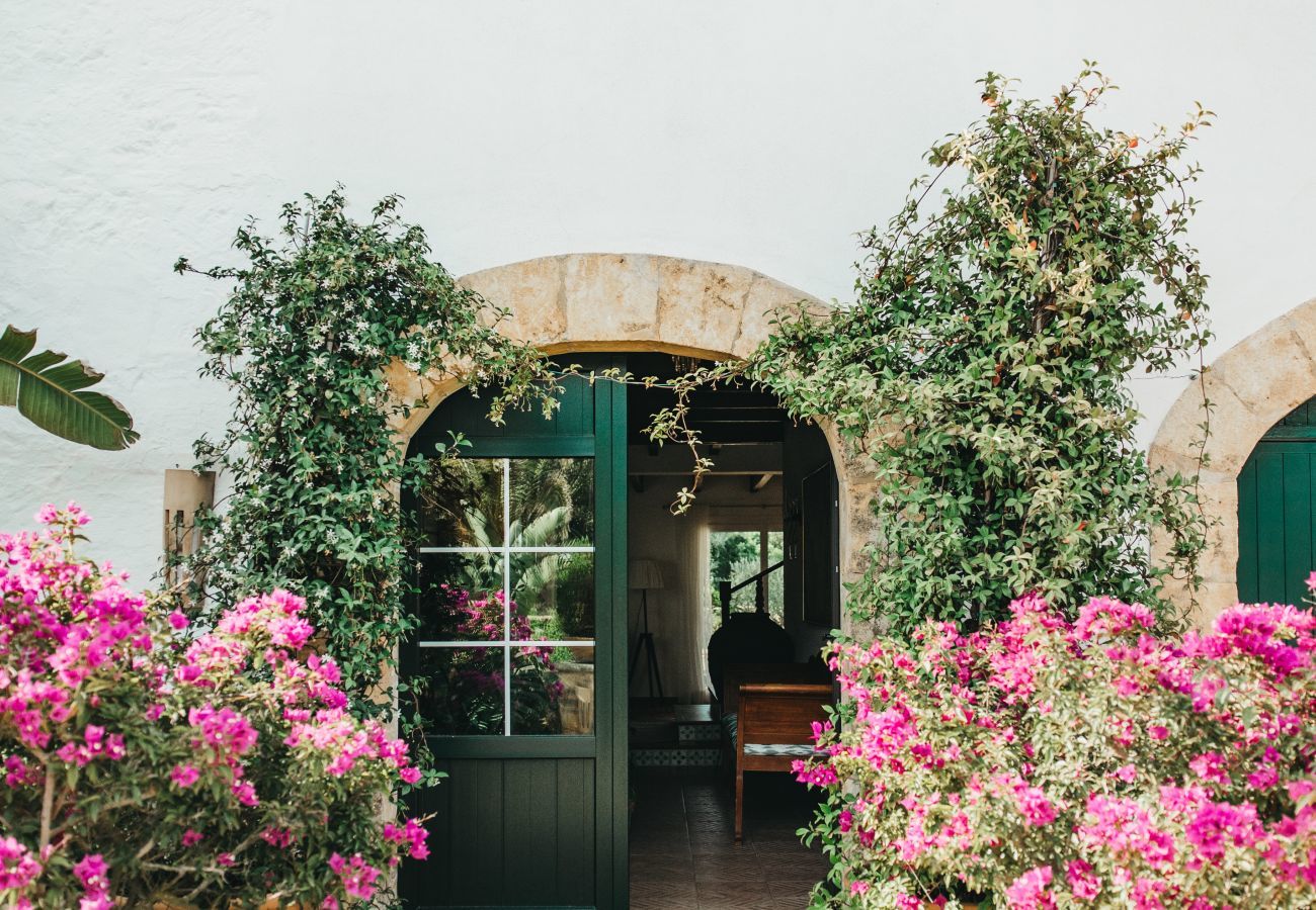 Finca in Ferreries - Finca MASSO