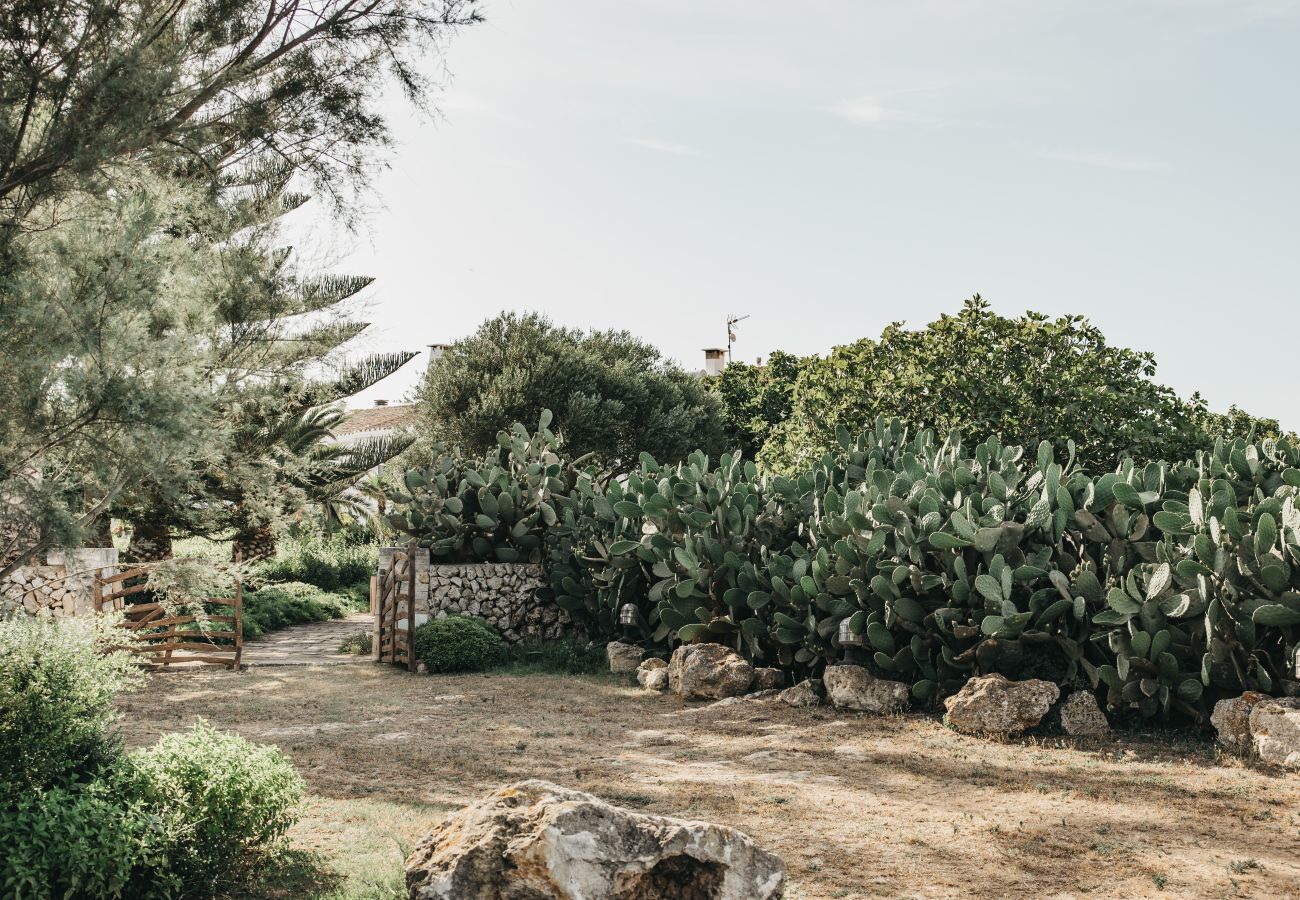 Finca in Ferreries - Finca MASSO