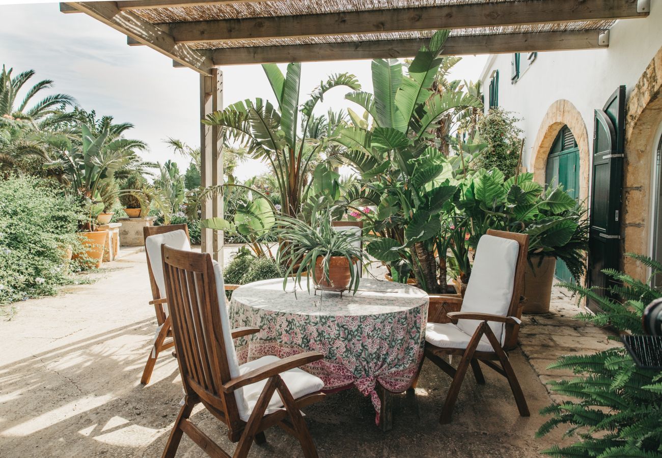 Finca in Ferreries - Finca MASSO