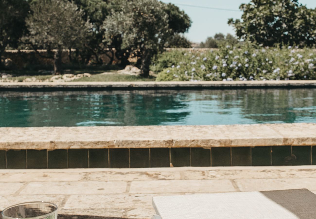 Finca in Ferreries - Finca MASSO