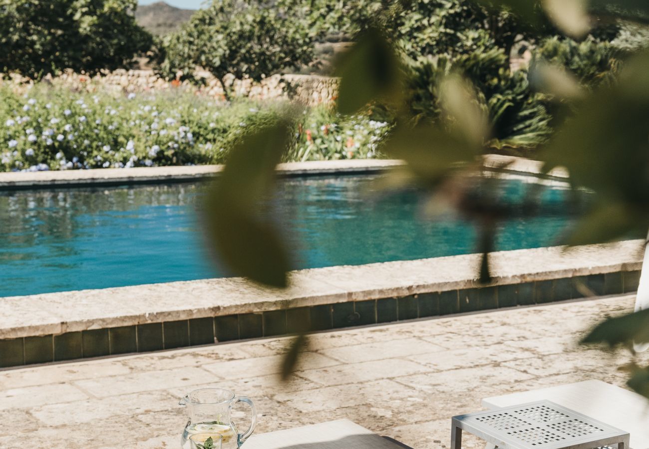 Finca in Ferreries - Finca MASSO