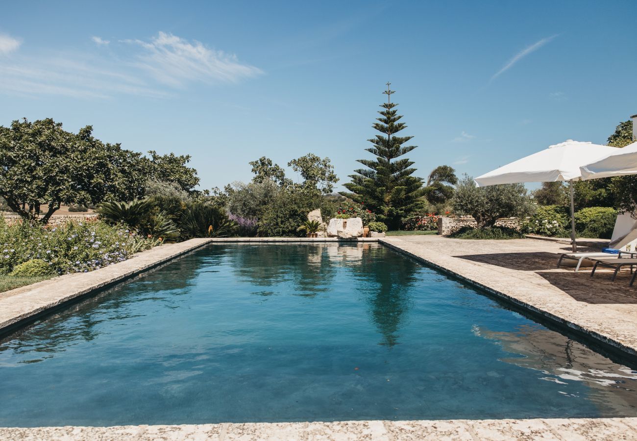 Finca in Ferreries - Finca MASSO