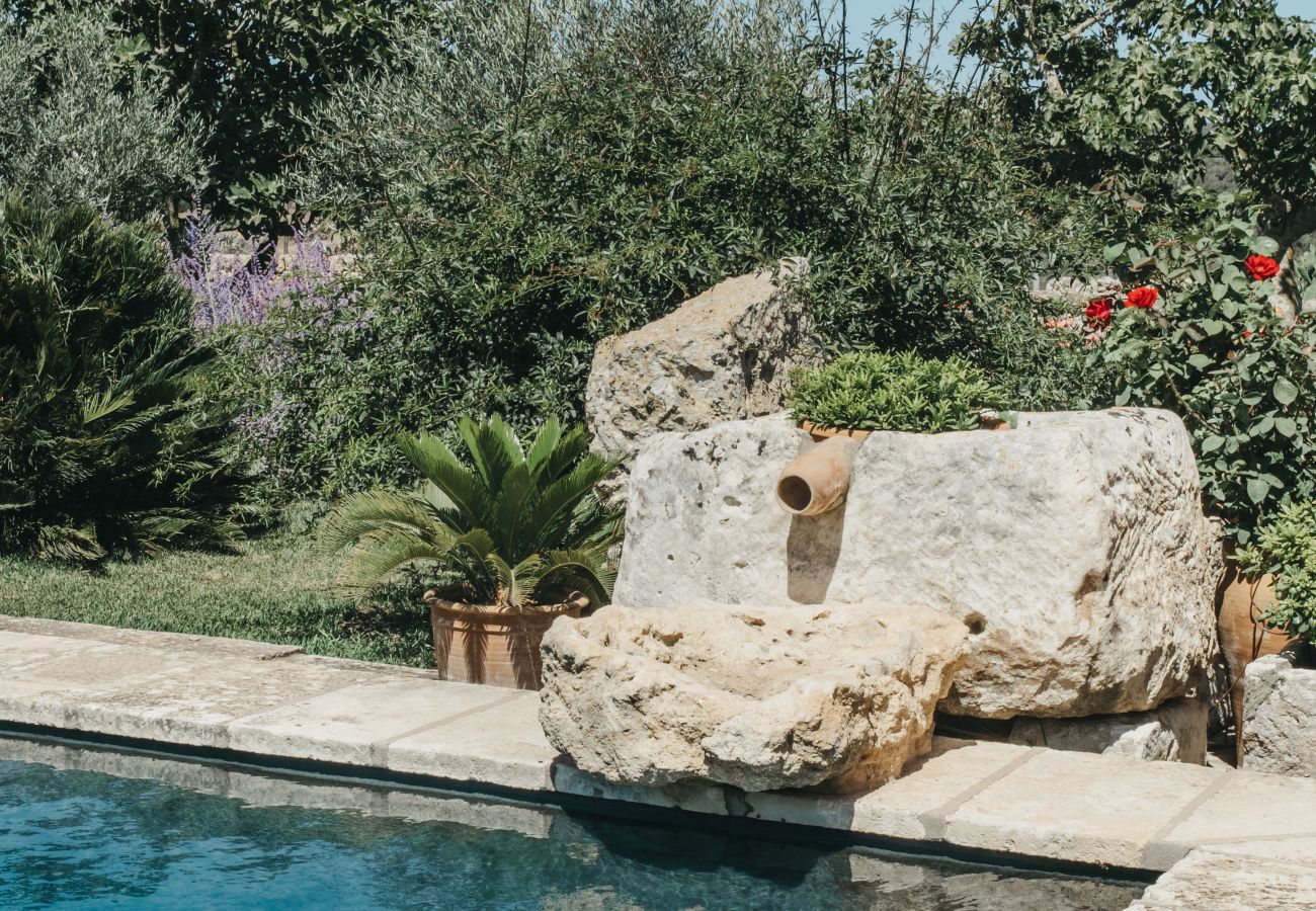 Finca in Ferreries - Finca MASSO