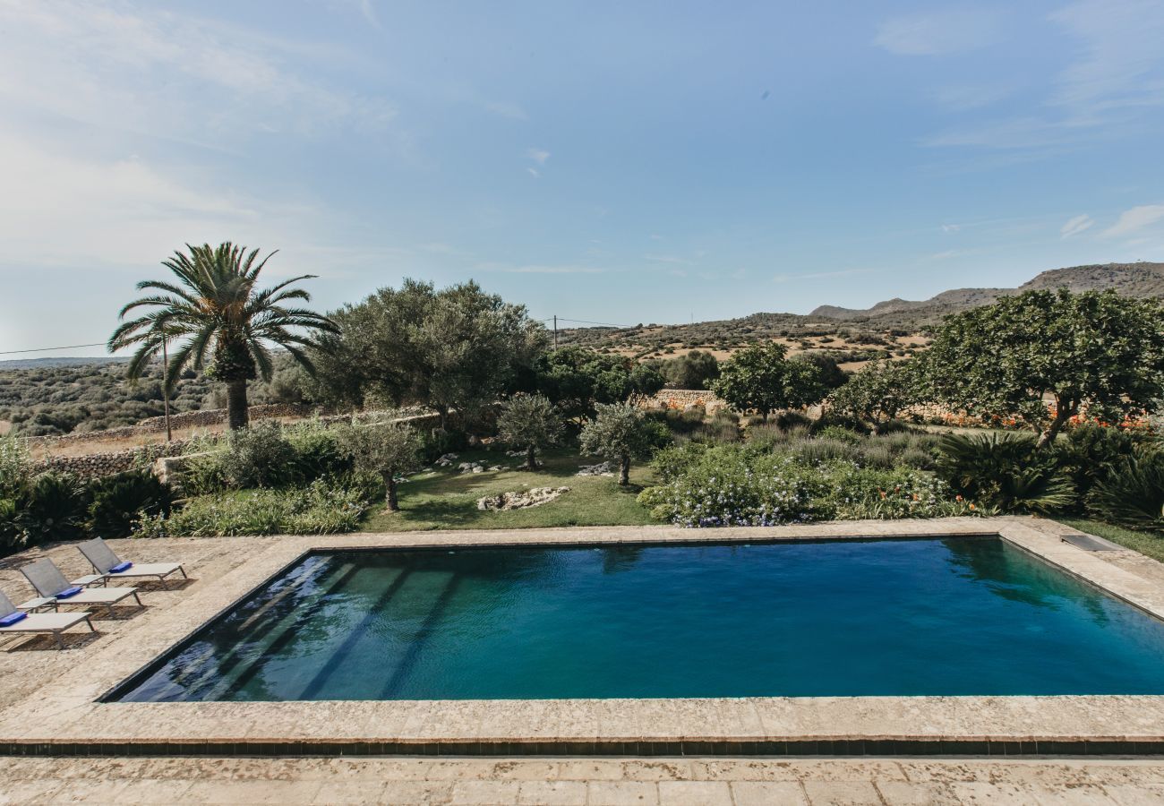 Finca in Ferreries - Finca MASSO