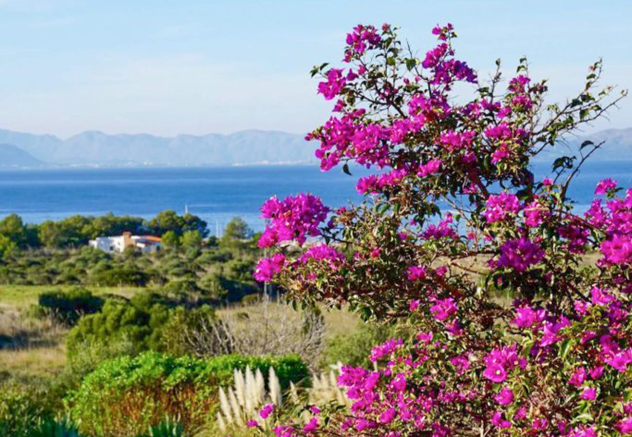 Villa in Colonia de Sant Pere - Pentinat, Villa 5StarsHome Mallorca