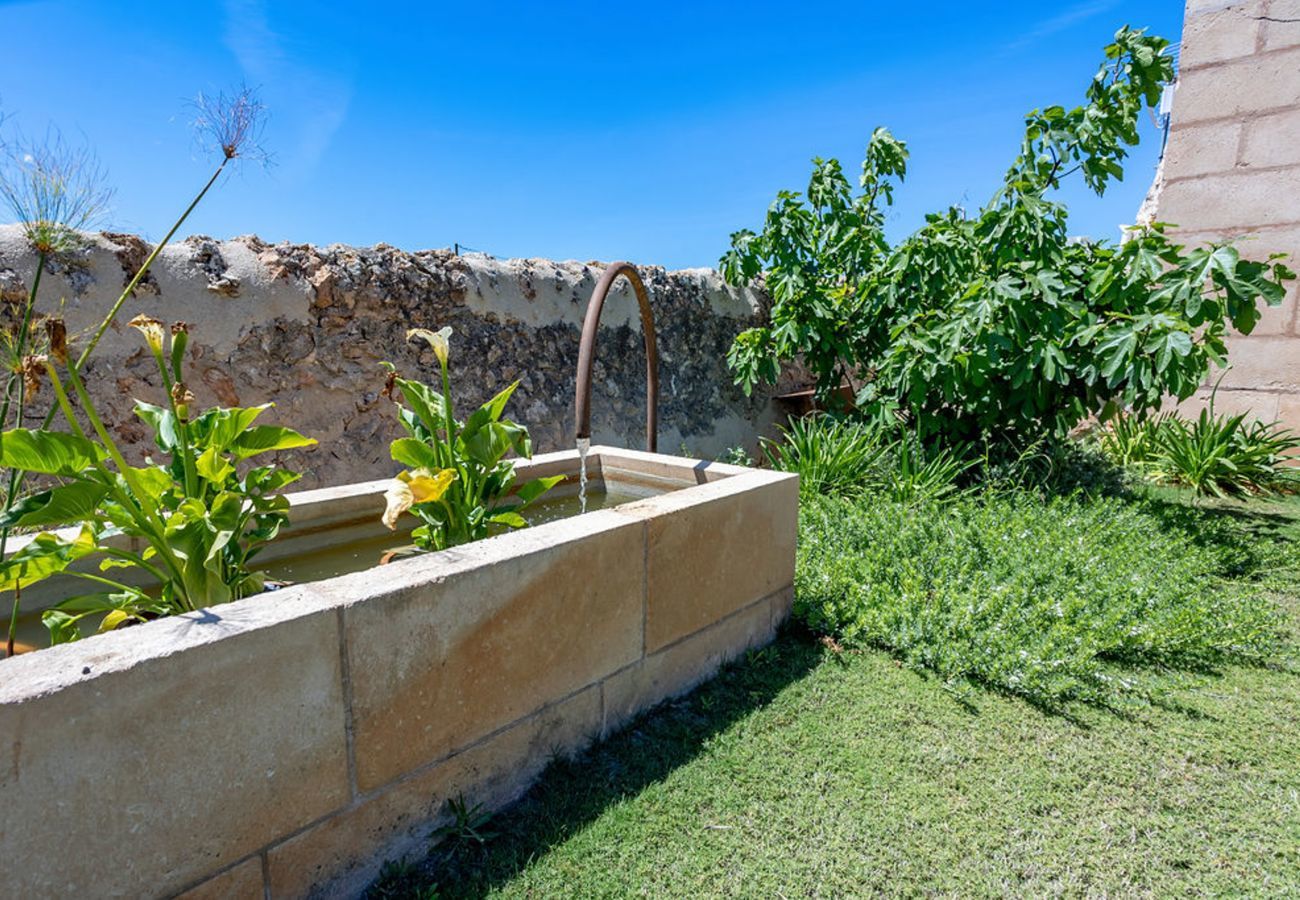 Villa in Campos - Son Llumira, Villa 5StarsHome Mallorca