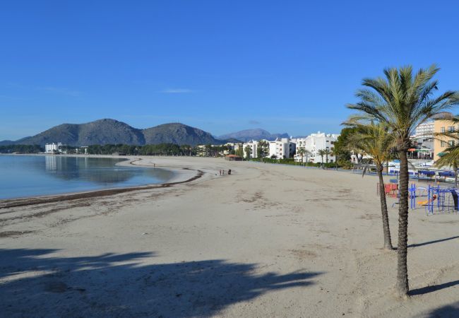 Apartamento en Port d´Alcudia - 134 Apartamento Pins-Tugores ETVPL/13155 by Mallor Apartamento en Port d´Alcudia - 134 Apartamento Pins-Tugores ETVPL/13155 by Mallor