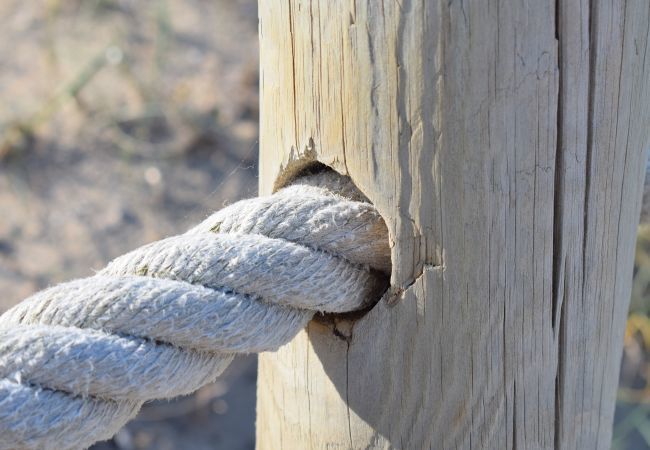 Apartamento en Port d´Alcudia - 134 Apartamento Pins-Tugores ETVPL/13155 by Mallor Apartamento en Port d´Alcudia - 134 Apartamento Pins-Tugores ETVPL/13155 by Mallor