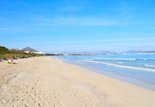 Apartamento en Alcúdia - 174 Apartamento Fantastic ETVPL/12650 by Mallorca Apartamento en Alcúdia - 174 Apartamento Fantastic ETVPL/12650 by Mallorca