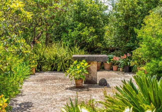 Finca en Pollensa / Pollença - Buchaca, Villa-Finca 5StarsHome Mallorca Finca en Pollensa / Pollença - Buchaca, Villa-Finca 5StarsHome Mallorca