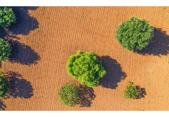 Finca en Pollensa / Pollença - Vivamont, Villa-Finca 5StarsHome Mallorca Finca en Pollensa / Pollença - Vivamont, Villa-Finca 5StarsHome Mallorca