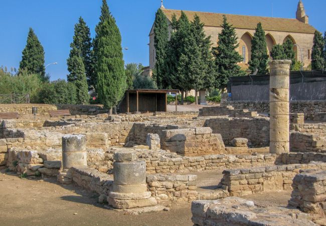 Finca en Sa Pobla - Carroza, Finca 5StarsHome Mallorca Finca en Sa Pobla - Carroza, Finca 5StarsHome Mallorca