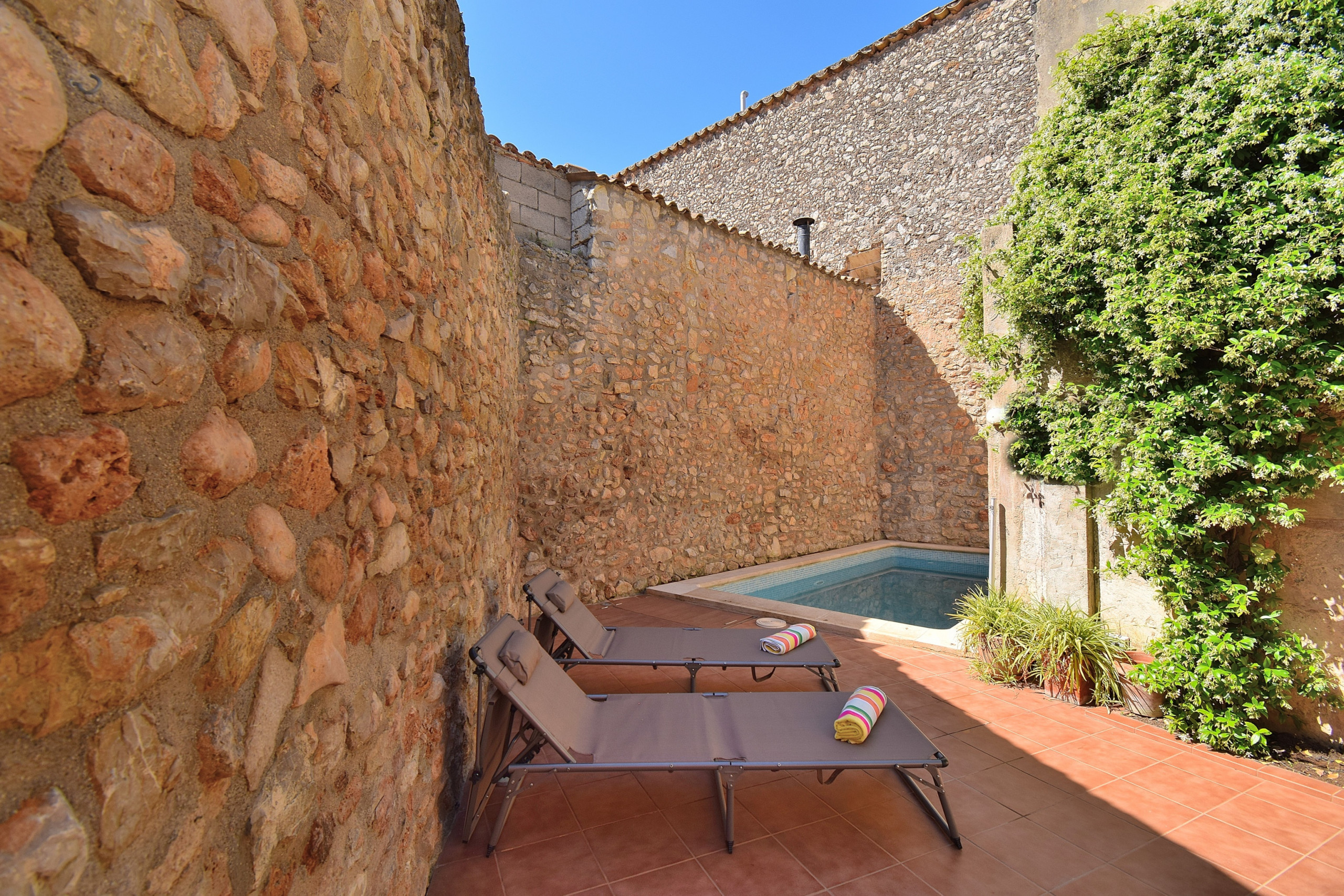 Piscina, jardín, privacidad