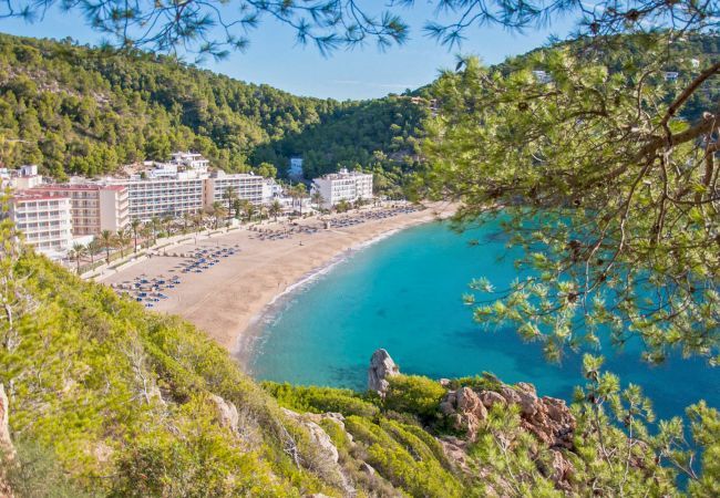 Apartamento en Puerto Pollensa - Amelio, Apartment 5StarsHome Mallorca Apartamento en Puerto Pollensa - Amelio, Apartment 5StarsHome Mallorca