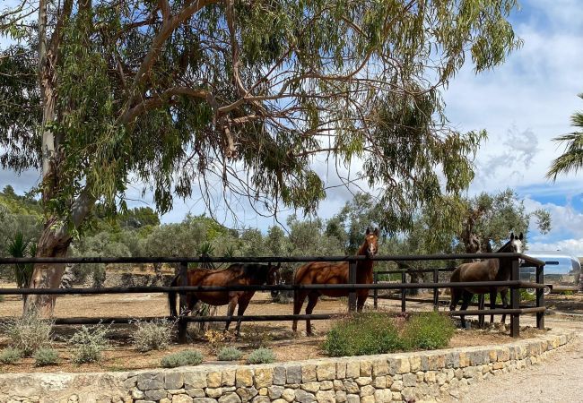 Villa en Alaro - Alaro 117 Luxury. 10 a 20 pax, Villa-Lujo 5StarsHo Villa en Alaro - Alaro 117 Luxury. 10 a 20 pax, Villa-Lujo 5StarsHo