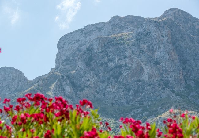 Villa en Arta - Matheo, Villa 5StarsHome Mallorca Villa en Arta - Matheo, Villa 5StarsHome Mallorca