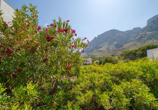 Villa en Arta - Matheo, Villa 5StarsHome Mallorca Villa en Arta - Matheo, Villa 5StarsHome Mallorca