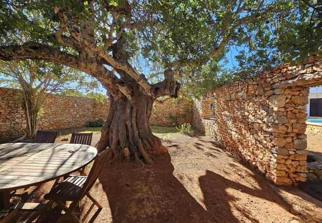 Villa en Sant Josep de Sa Talaia / San Jose - Anayala, Villa 5StarsHome Ibiza Villa en Sant Josep de Sa Talaia / San Jose - Anayala, Villa 5StarsHome Ibiza