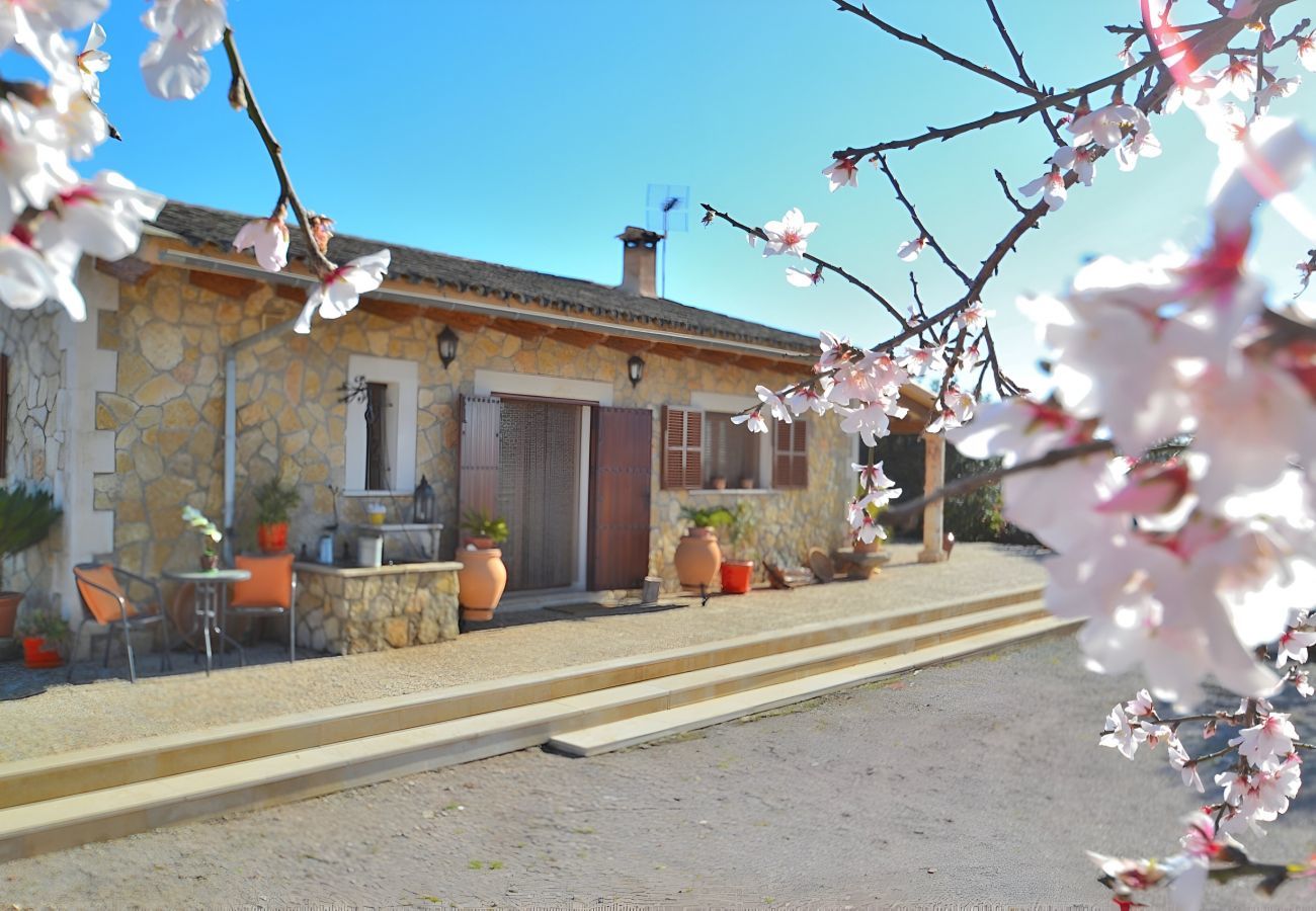 Finca en Ariany - 078 Finca Sa Rota VT/1953 by Mallorca Charme