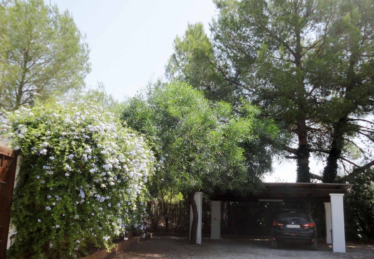 Villa en Santa Gertrudis - CASA ESTRELLA