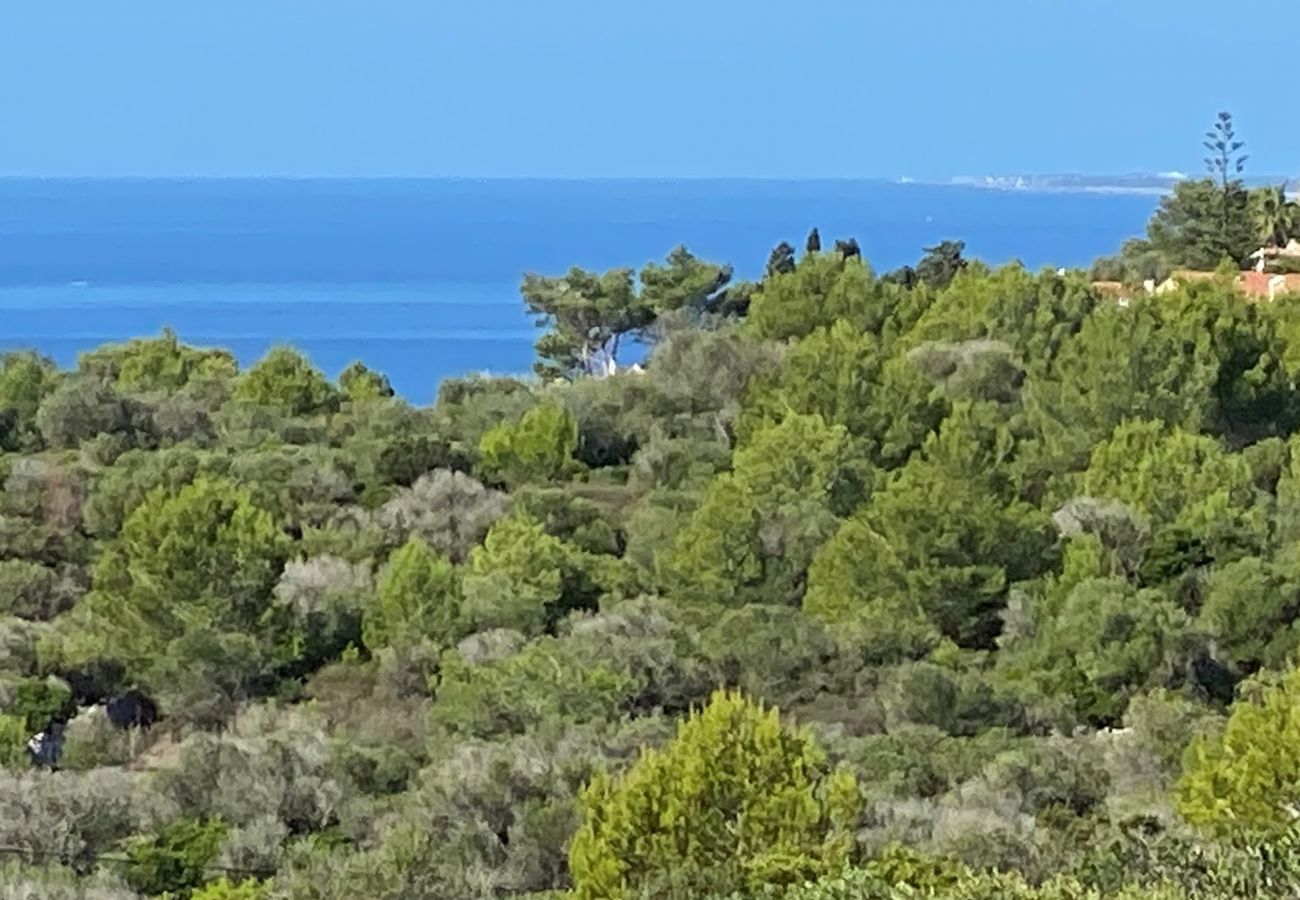 Finca en Son Bou - Finca SANT JAUME