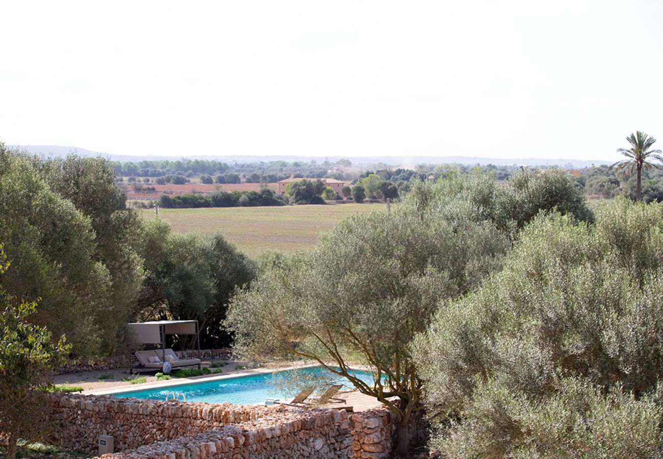 Villa en Campos - Son Llumira, Villa 5StarsHome Mallorca