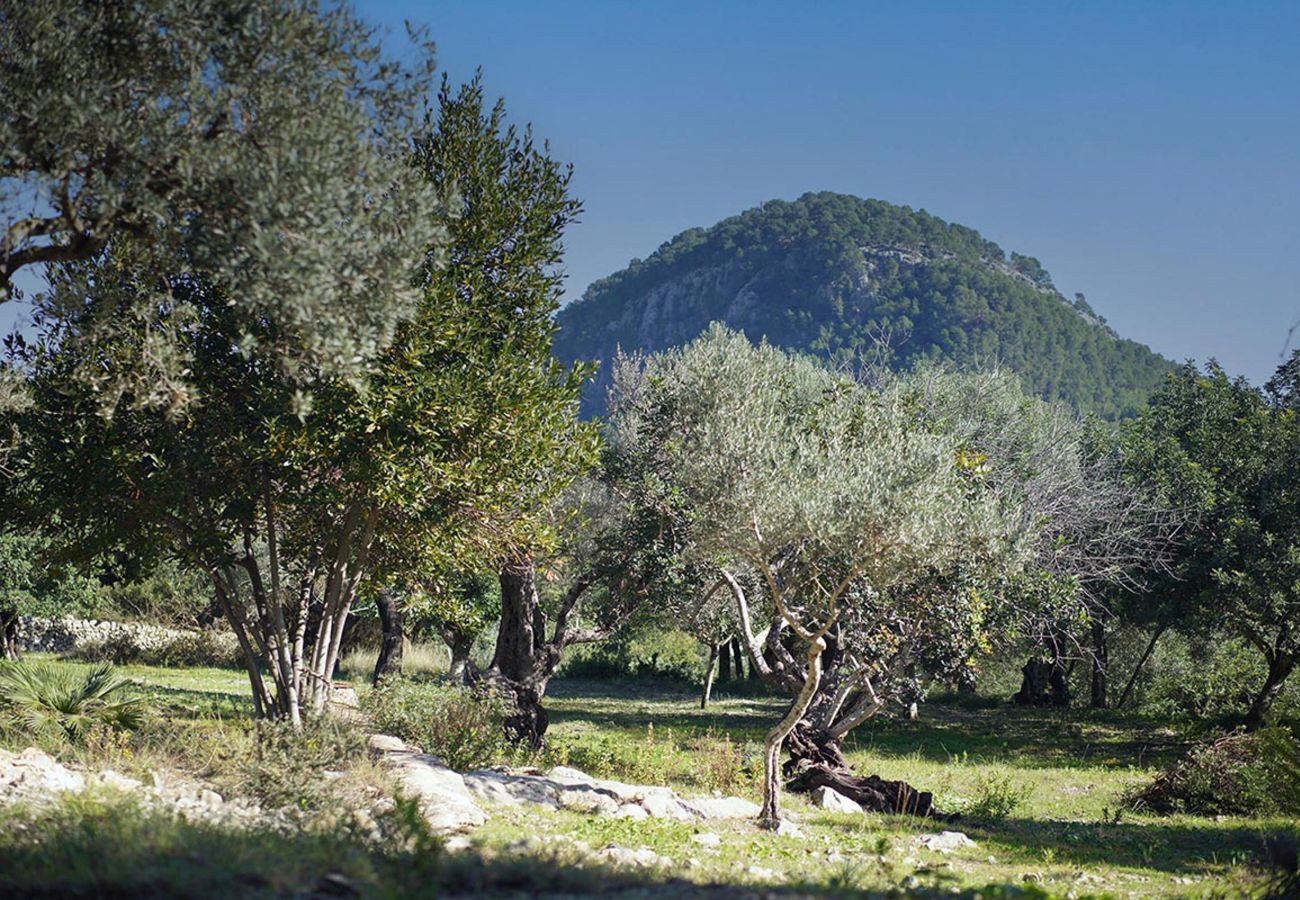 Finca en Pollensa / Pollença - Son Alordas, Finca 5StarsHome Mallorca
