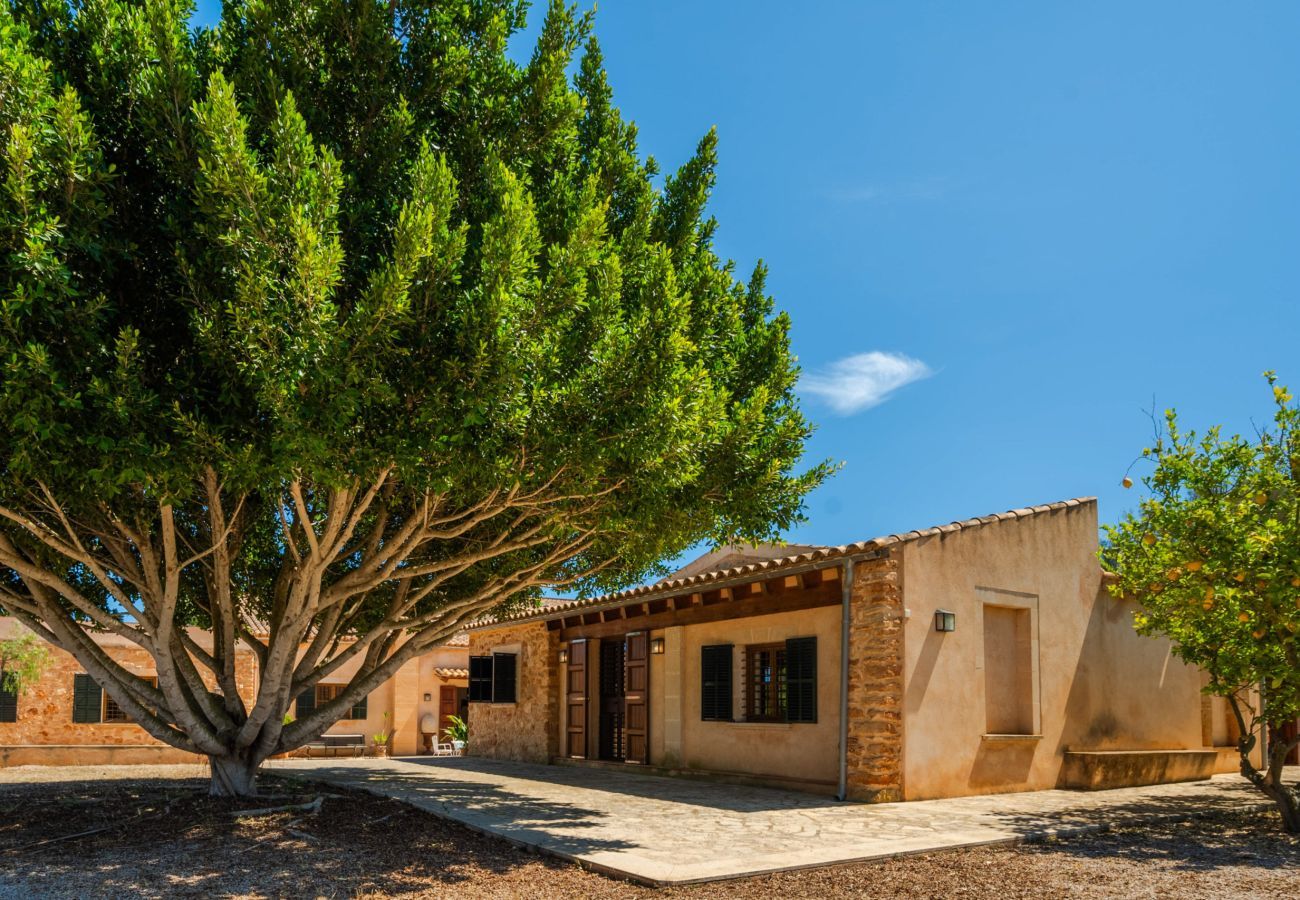 Villa en Arta - Rapalin, Villa 5StarsHome Mallorca